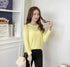 Loose Micro-Openwork Round Neck Pullover